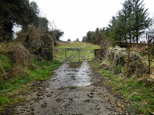 Road and Gate