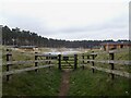 New chalets, Scampton Estate