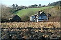 Creini farm from the west