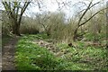 Path beside Osbaldwick Beck