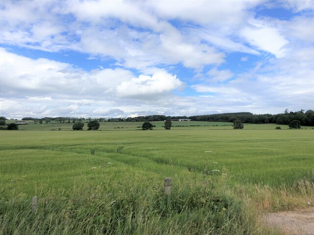 Fields Of Barley © Eirian Evans Geograph Britain And Ireland 1527