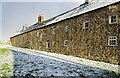 Rear of cottages on Prospect Place