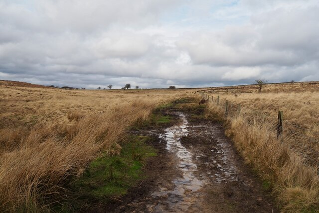 Muddy track on Big Moor
