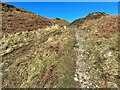 SD2789 : The Cumbria Way near Wool Knott by Adrian Taylor