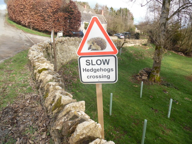 Slow Hedgehogs Crossing road sign near Swyre Farm (1)