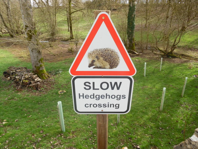 Slow Hedgehogs Crossing road sign near Swyre Farm (2)