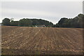 Ploughed field