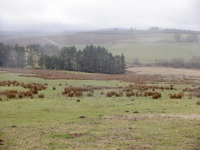 Wet pasture, Doorpool © Richard Webb :: Geograph Britain and Ireland