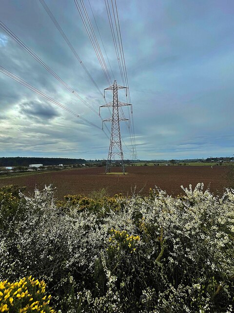 Blossoming Hedgerow © Graham Hogg Cc By Sa20 Geograph Britain And Ireland 0176