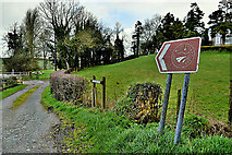 H4869 : Marshall Country Trail sign, Edenderry by Kenneth  Allen