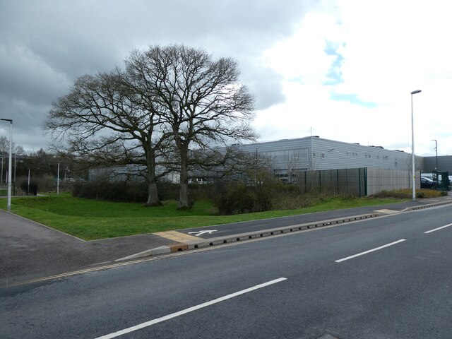 A patch of greenery in the industrial estate, Matford Business Park, Exeter