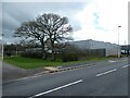 A patch of greenery in the industrial estate, Matford Business Park, Exeter