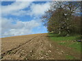 Farmland at Gattonside Mains