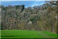 Lydbrook : Grassy Field