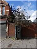 TQ3289 : 288 West Green Road London N15 plus phone box by John Kingdon
