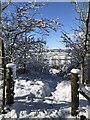 Snow covered footpath at Crowtrees nature Reserve