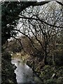 SP3483 : River Sowe, Longford Community Nature Park by A J Paxton