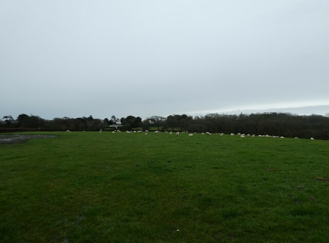 Field at Mill Farm