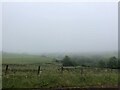 Countryside in the mist, Dunbeath