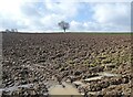 Ploughed field at Glenmore Farm