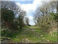 Farm access track