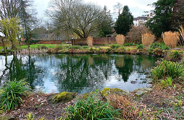 Ornamental fishpond in March (2), Queen Elizabeth II Gardens, Bewdley, Worcs