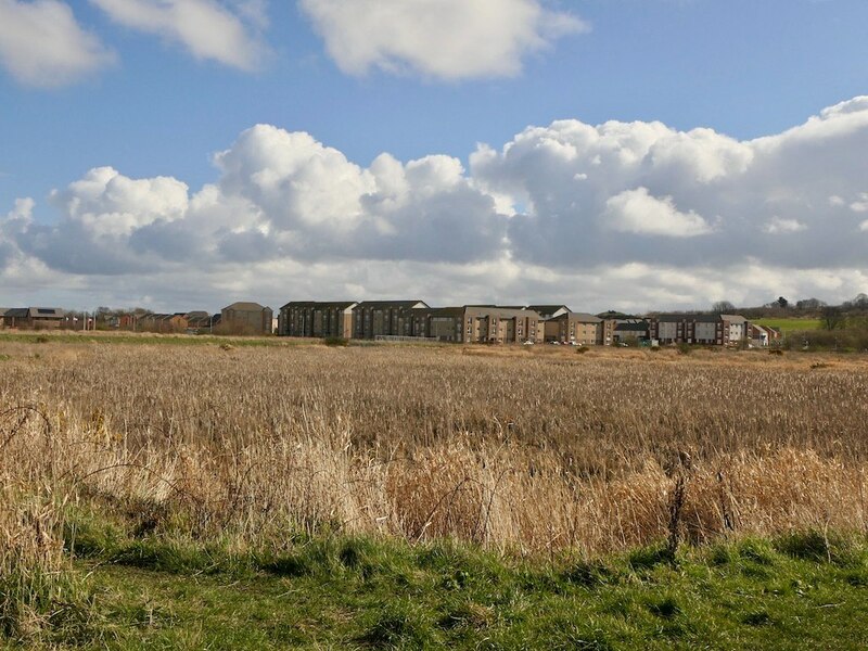 Wetland, Little France Park © Richard Webb cc-by-sa/2.0 :: Geograph ...