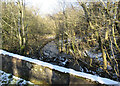 Bridge over the Darngaber Burn