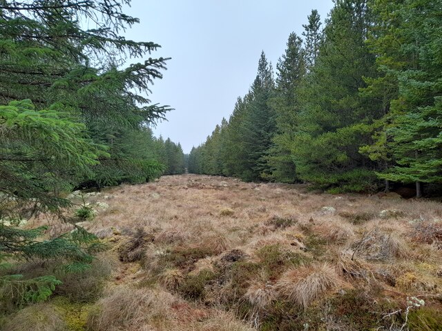 Forest Firebreak © David Bremner cc-by-sa/2.0 :: Geograph Britain and ...