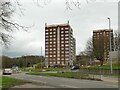 Barncroft tower blocks, Monkswood