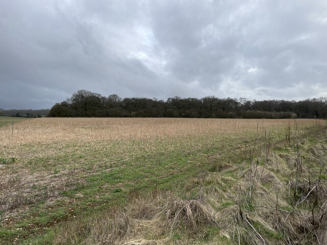 View across Back Field (33 acres)