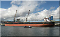 J3576 : The 'Star Nina' at Belfast by Rossographer