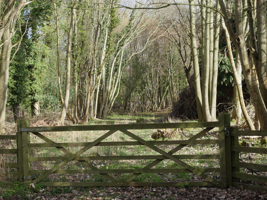 Gated Track Into Woodland © David Pashley Cc-by-sa/2.0 :: Geograph ...