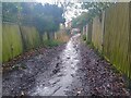 Flooded Calvert Walk