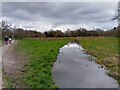 Stream into Blackwater River