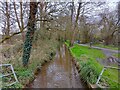 Stream to Blackwater River