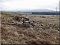 Boulders, Corrie