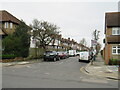 Cuckoo Dene, Hanwell