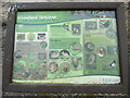 SK1009 : Woodland Habitat Information Board in Beacon Park, Lichfield by David Hillas