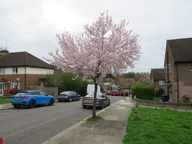 Gifford Gardens, Hanwell © Malc McDonald :: Geograph Britain and Ireland