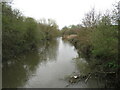 TQ1481 : River Brent near Greenford by Malc McDonald