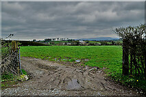 H5366 : Muddy entrance to field, Beragh by Kenneth  Allen