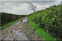 H5366 : A muddy lane, Beragh by Kenneth  Allen