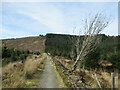 NS3582 : Path below Gouk Hill by Alan O'Dowd