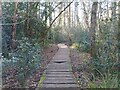 Boardwalk at Wildmoor Heath