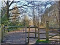 Edgbarrow Woods footpath