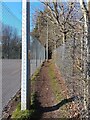 Path beside Edgbarrow Secondary School