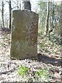 Boundary Stone, Worrall Hill