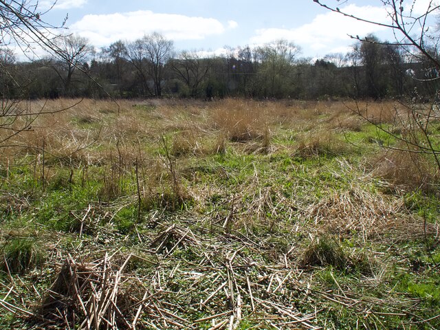 Where's the path? © Graham Hogg :: Geograph Britain and Ireland