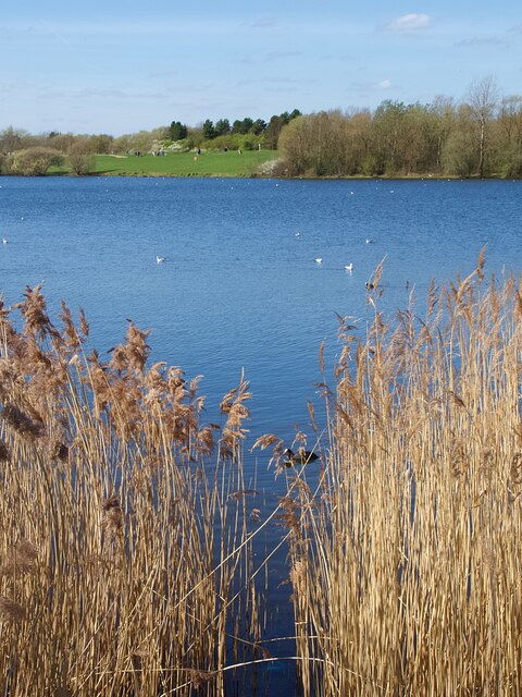 Lake in Pugneys Country Park © Graham Hogg cc-by-sa/2.0 :: Geograph ...